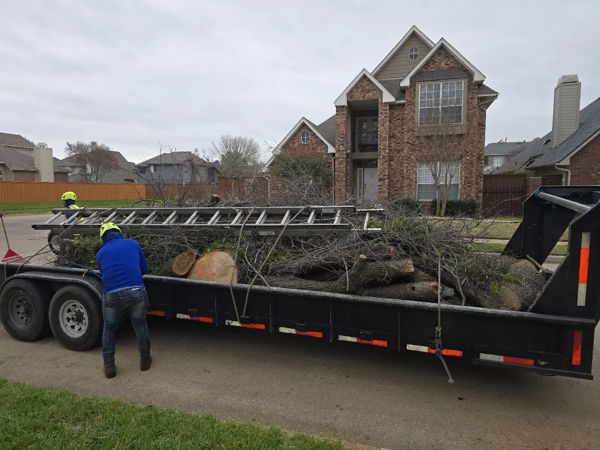 Expert Lot Clearing with proper safety equipment in Marshall